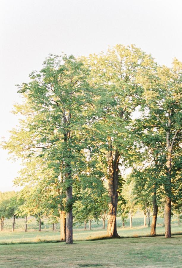 Chateau Saint-Joseph, Grand Gites 4 Etoiles En Pleine Nature Mazerolles-du-Razes 外观 照片