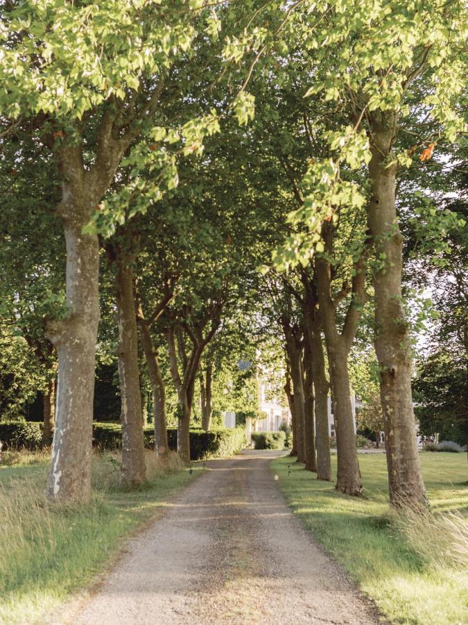 Chateau Saint-Joseph, Grand Gites 4 Etoiles En Pleine Nature Mazerolles-du-Razes 外观 照片