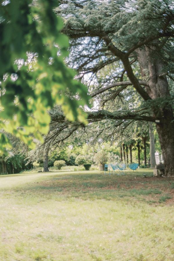 Chateau Saint-Joseph, Grand Gites 4 Etoiles En Pleine Nature Mazerolles-du-Razes 外观 照片