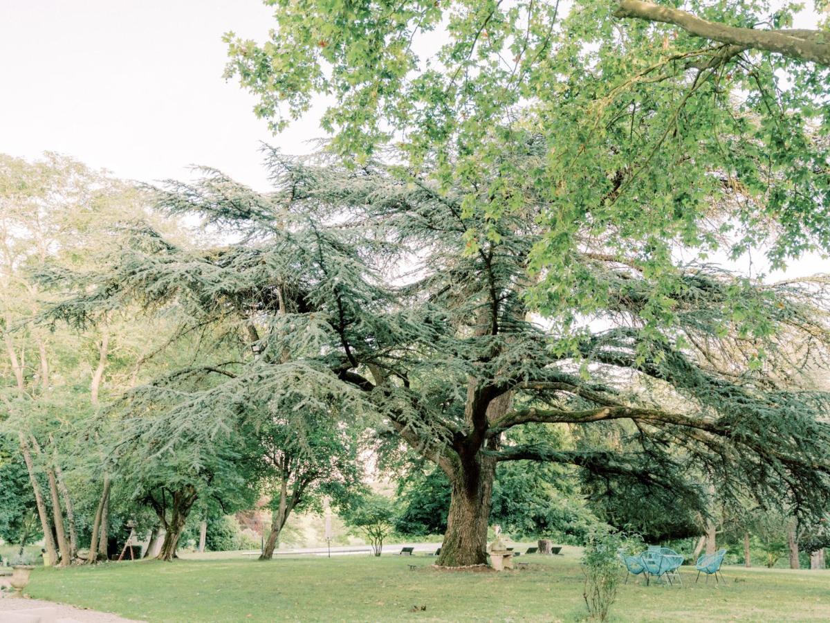 Chateau Saint-Joseph, Grand Gites 4 Etoiles En Pleine Nature Mazerolles-du-Razes 外观 照片