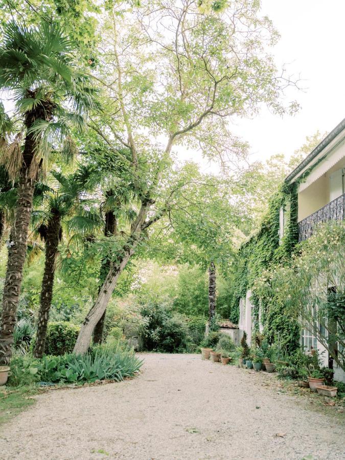 Chateau Saint-Joseph, Grand Gites 4 Etoiles En Pleine Nature Mazerolles-du-Razes 外观 照片