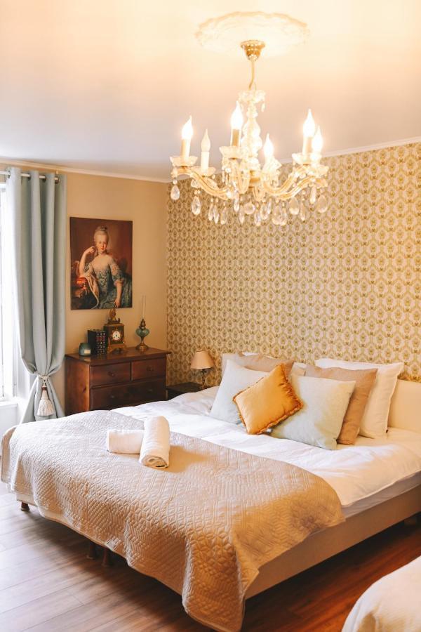 Chateau Saint-Joseph, Grand Gites 4 Etoiles En Pleine Nature Mazerolles-du-Razes 外观 照片